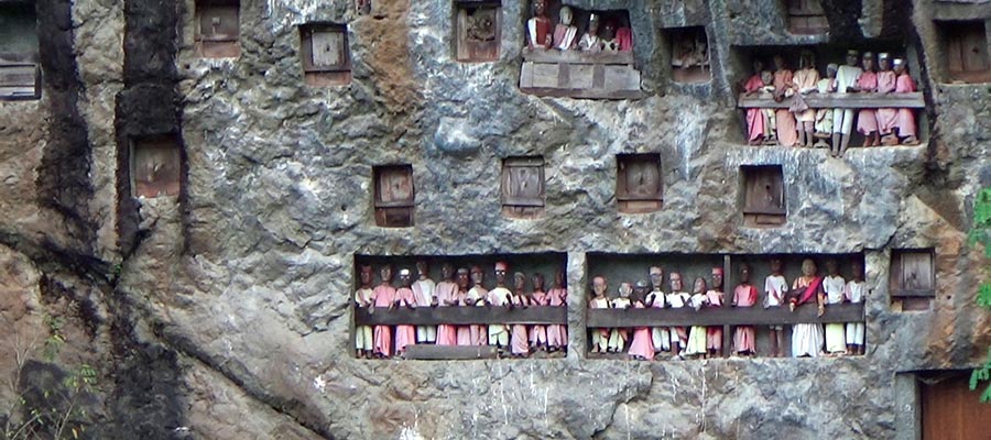 Guía en Tana Toraja y excursiones desde Rantepao por Sulawesi