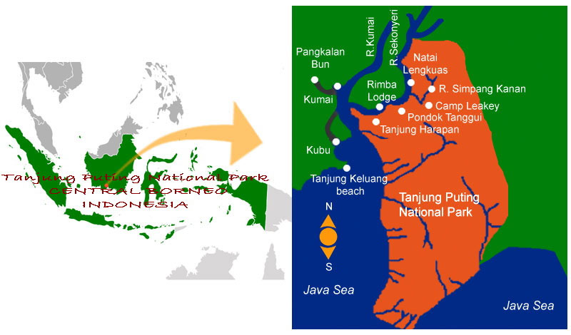 Mapa de Tanjung Puting en Kalimantan, Borneo