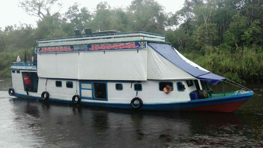 Big Boat: Klotok made with a long a 17,35 meters and 3,35 meters wide and can accommodate 6-8 people
