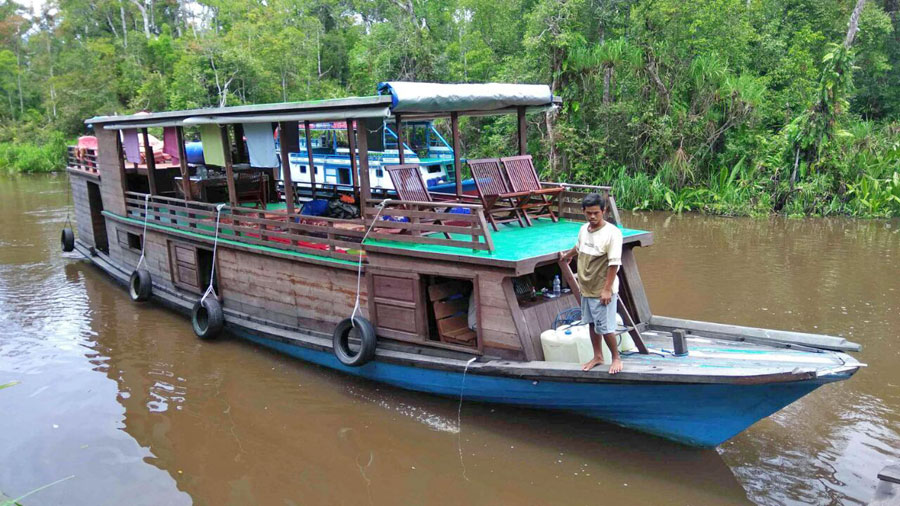 Visitors will enjoy the scenery around the river Sekonyer in the area of Tanjung Puting National Park