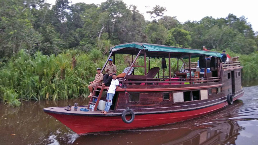 Koltok tour Borneo